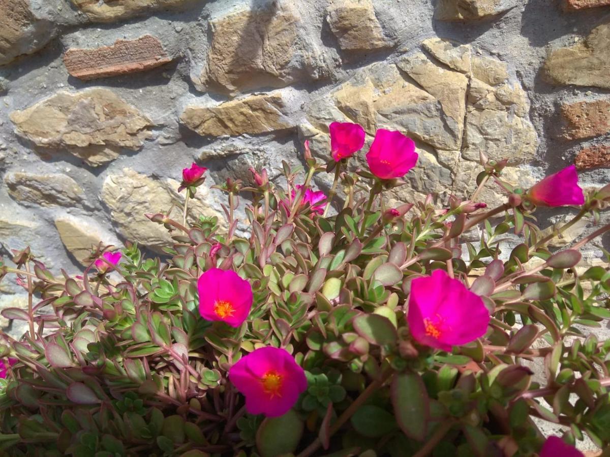 그레베 인 키안티 La Magnolia B&B 외부 사진